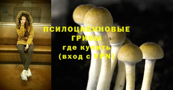 хмурый Балабаново