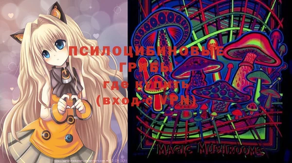 хмурый Балабаново