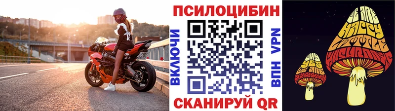 Псилоцибиновые грибы мухоморы  kraken как зайти  Нижняя Тура 